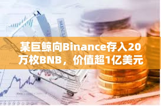 某巨鯨向Binance存入20萬枚BNB，價值超1億美元