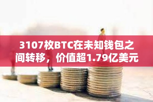 3107枚BTC在未知錢(qián)包之間轉(zhuǎn)移，價(jià)值超1.79億美元