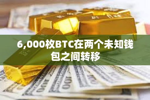 6,000枚BTC在兩個未知錢包之間轉(zhuǎn)移