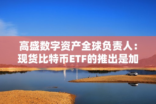 高盛數(shù)字資產(chǎn)全球負(fù)責(zé)人：現(xiàn)貨比特幣ETF的推出是加密領(lǐng)域的新動(dòng)力
