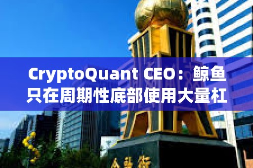 CryptoQuant CEO：鯨魚只在周期性底部使用大量杠桿，當(dāng)前市場(chǎng)并未過度杠桿化