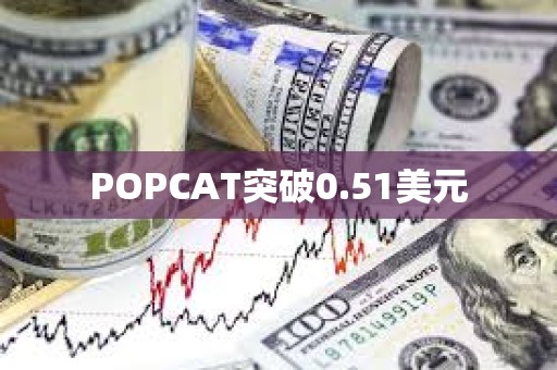 POPCAT突破0.51美元
