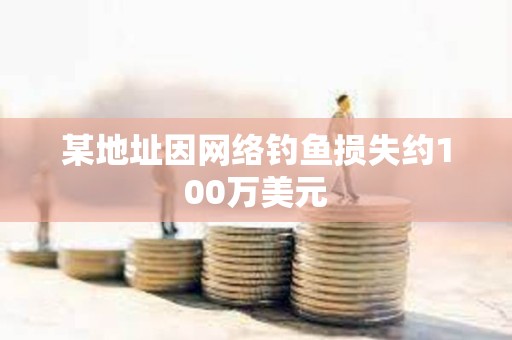 某地址因網(wǎng)絡(luò)釣魚損失約100萬美元