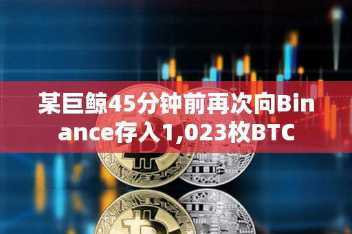 某巨鯨45分鐘前再次向Binance存入1,023枚BTC