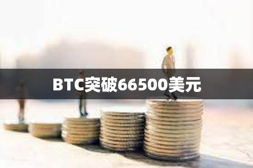 BTC突破66500美元