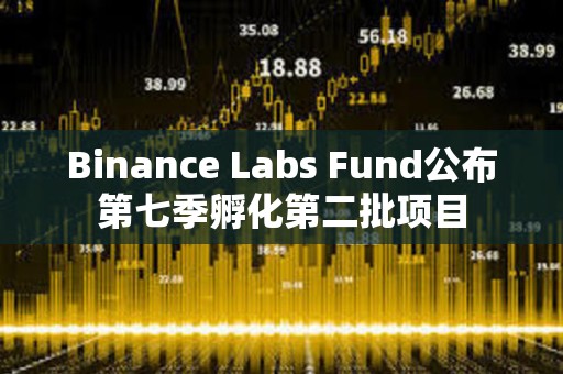 Binance Labs Fund公布第七季孵化第二批項目
