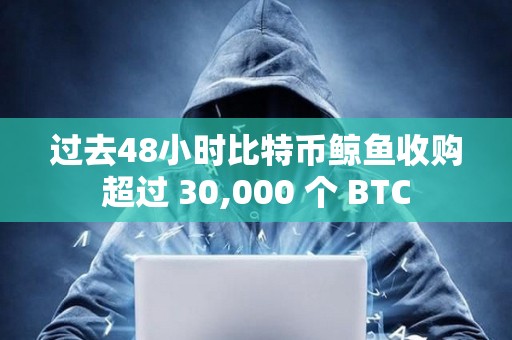 過去48小時(shí)比特幣鯨魚收購超過 30,000 個(gè) BTC