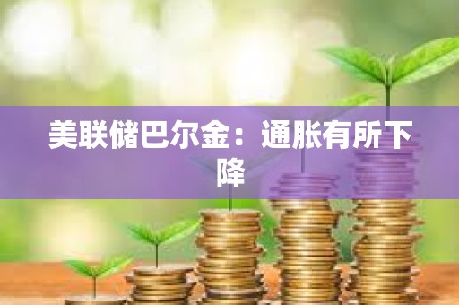 美聯(lián)儲(chǔ)巴爾金：通脹有所下降