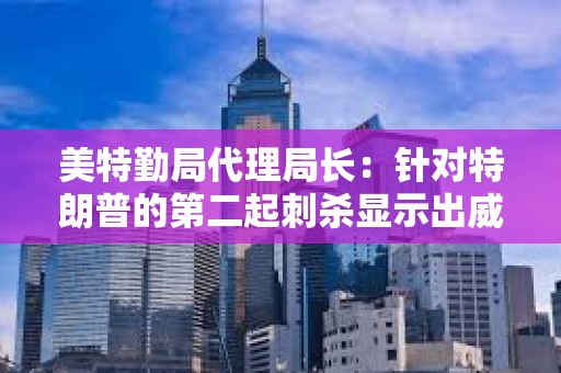 美特勤局代理局長：針對特朗普的第二起刺殺顯示出威脅環境的加劇