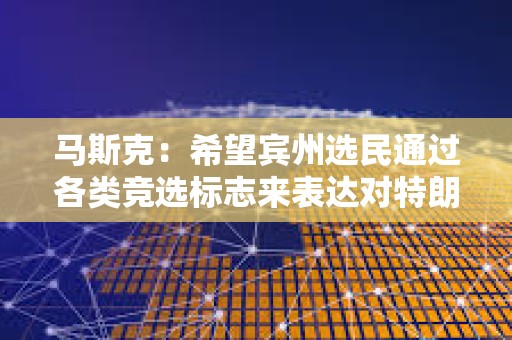馬斯克：希望賓州選民通過各類競選標志來表達對特朗普的支持