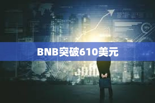 BNB突破610美元