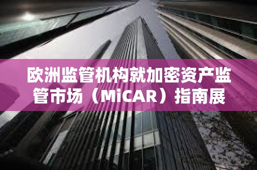 歐洲監(jiān)管機構(gòu)就加密資產(chǎn)監(jiān)管市場（MiCAR）指南展開磋商