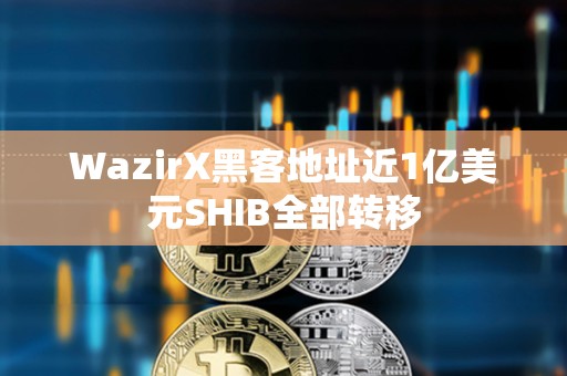 WazirX黑客地址近1億美元SHIB全部轉(zhuǎn)移