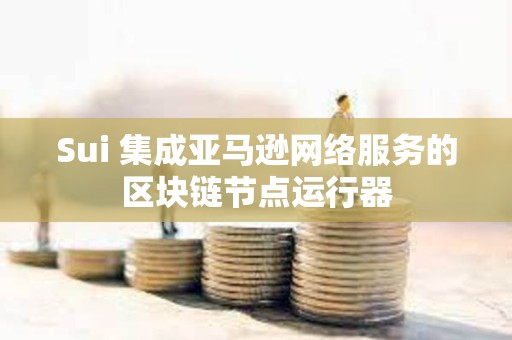 Sui 集成亞馬遜網(wǎng)絡(luò)服務(wù)的區(qū)塊鏈節(jié)點運行器