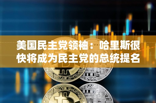 美國民主黨領(lǐng)袖：哈里斯很快將成為民主黨的總統(tǒng)提名人