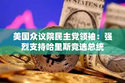美國眾議院民主黨領(lǐng)袖：強烈支持哈里斯競選總統(tǒng)