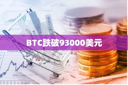 BTC跌破93000美元