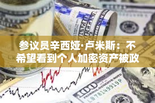 參議員辛西婭·盧米斯：不希望看到個(gè)人加密資產(chǎn)被政府控制