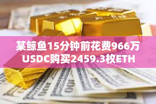 某鯨魚15分鐘前花費966萬USDC購買2459.3枚ETH