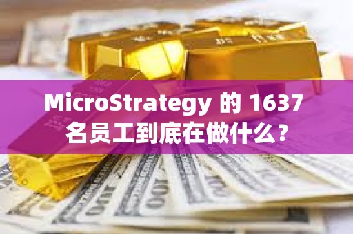 MicroStrategy 的 1637 名員工到底在做什么？