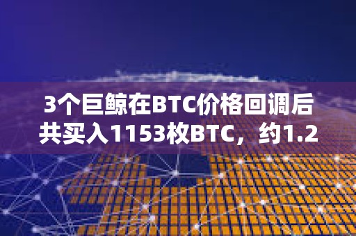 3個巨鯨在BTC價格回調后共買入1153枚BTC，約1.2億美元