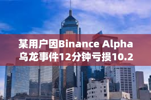 某用戶因Binance Alpha烏龍事件12分鐘虧損10.2萬美元