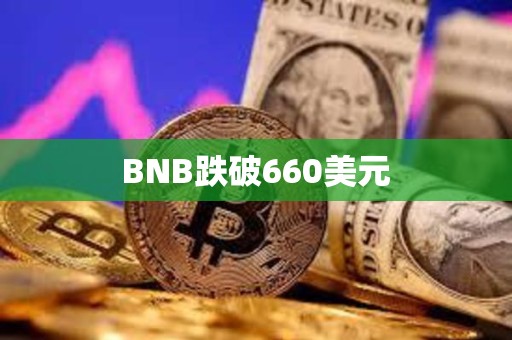 BNB跌破660美元