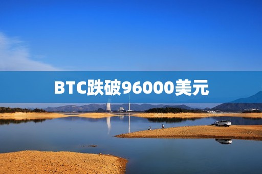 BTC跌破96000美元