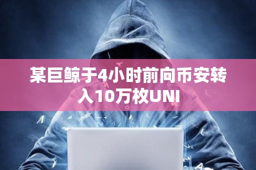 某巨鯨于4小時(shí)前向幣安轉(zhuǎn)入10萬(wàn)枚UNI 某巨鯨于4小時(shí)前向幣安轉(zhuǎn)入10萬(wàn)枚UNI