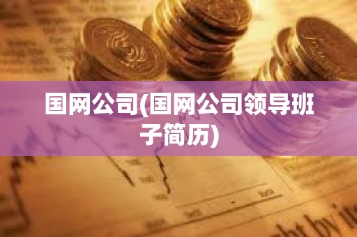 國(guó)網(wǎng)公司(國(guó)網(wǎng)公司領(lǐng)導(dǎo)班子簡(jiǎn)歷)