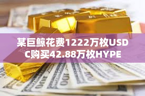 某巨鯨花費1222萬枚USDC購買42.88萬枚HYPE