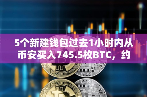 5個新建錢包過去1小時內從幣安買入745.5枚BTC，約合5900萬美元
