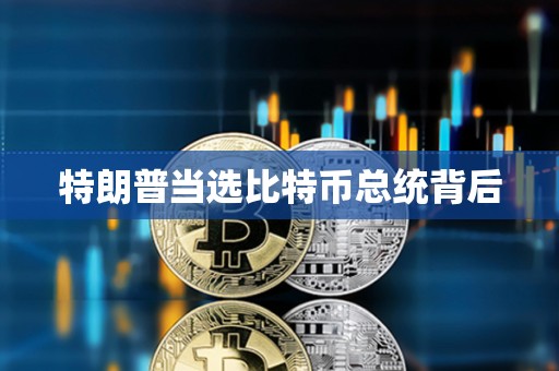 特朗普當(dāng)選比特幣總統(tǒng)背后
