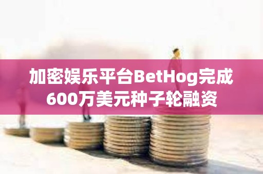 加密娛樂平臺BetHog完成600萬美元種子輪融資