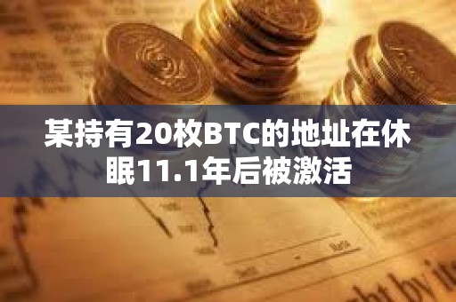 某持有20枚BTC的地址在休眠11.1年后被激活