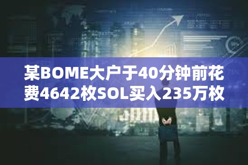某BOME大戶于40分鐘前花費(fèi)4642枚SOL買入235萬枚SLERF