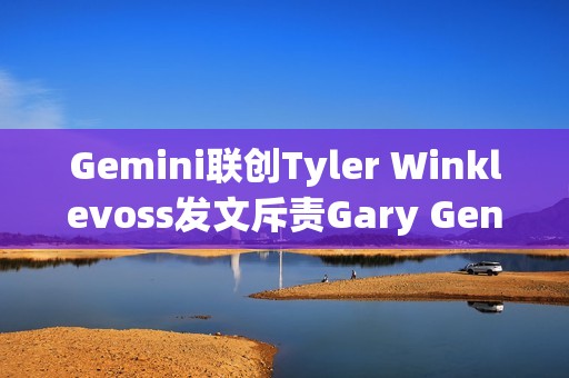 Gemini聯(lián)創(chuàng)Tyler Winklevoss發(fā)文斥責(zé)Gary Gensler