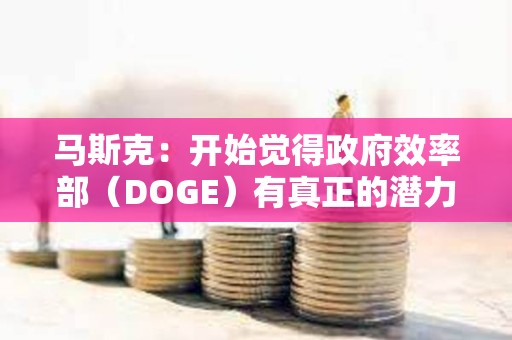 馬斯克：開始覺得政府效率部（DOGE）有真正的潛力