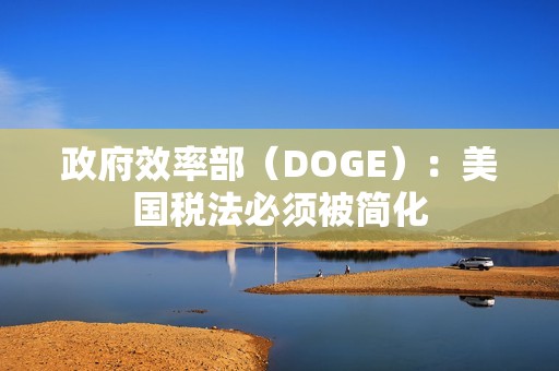 政府效率部（DOGE）：美國稅法必須被簡化
