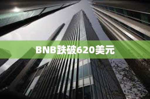 BNB跌破620美元