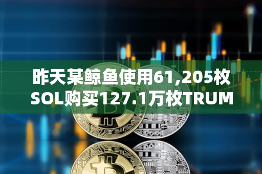 昨天某鯨魚使用61,205枚SOL購買127.1萬枚TRUMP，目前浮盈2141萬美元