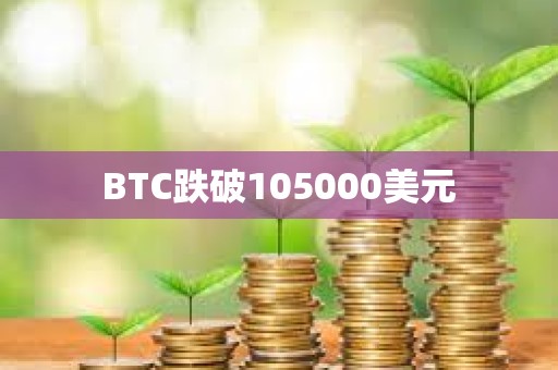 BTC跌破105000美元