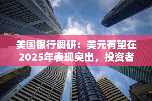 美國銀行調(diào)研：美元有望在2025年表現(xiàn)突出，投資者仍預計美元將表現(xiàn)最佳