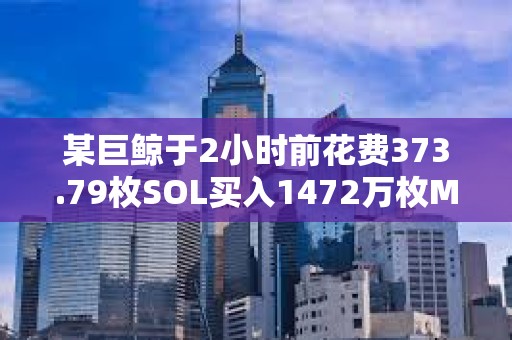 某巨鯨于2小時前花費373.79枚SOL買入1472萬枚MURAD，目前已浮虧78%