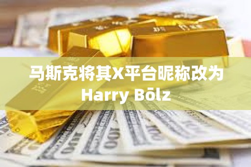 馬斯克將其X平臺昵稱改為Harry Bōlz