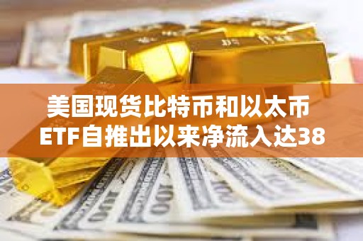 美國現貨比特幣和以太幣 ETF自推出以來凈流入達383億美元