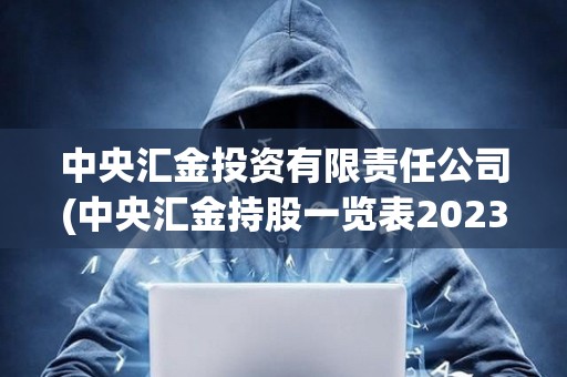 中央?yún)R金投資有限責(zé)任公司(中央?yún)R金持股一覽表2023)