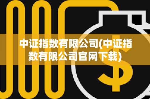 中證指數(shù)有限公司(中證指數(shù)有限公司官網(wǎng)下載)