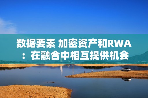 數(shù)據(jù)要素 加密資產(chǎn)和RWA：在融合中相互提供機會
