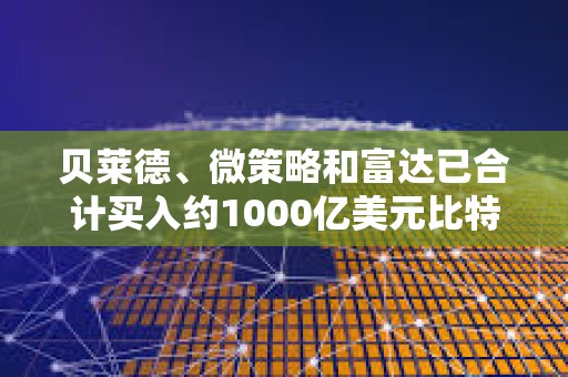貝萊德、微策略和富達已合計買入約1000億美元比特幣